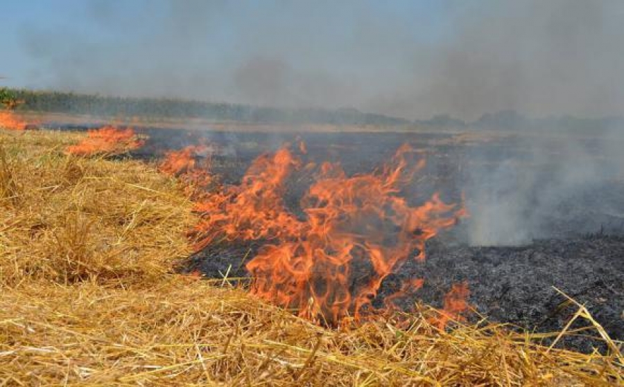 На території області спостерігається високий ризик виникнення пожеж на відкритих територіях